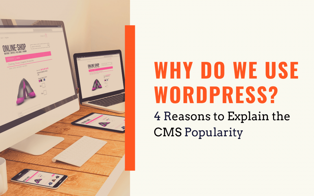 Why Do We Use WordPress? 4 Reasons to Explain the CMS Popularity